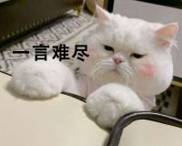 用过几个牌子的无雾加湿器，再来说说博沃纳