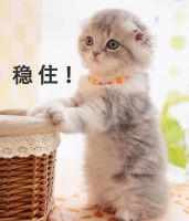 用过几个牌子的无雾加湿器，再来说说博沃纳