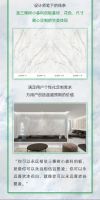 中国时刻 一起出色丨三棵树小森科创板独家定制冰花白-“爱凌”色