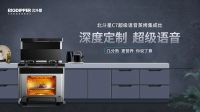 大师品质！北斗星星推官刘仪伟邀您“飓”惠315！