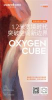 焕然“隐”新，以实力“赢”未来