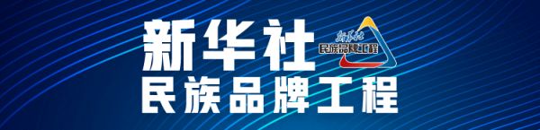 东易日盛集团入选新华社民族品牌工程·产业新锐行动