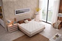 2022中国家居消费趋势丨大自然床垫荣获消费者喜欢的家具品牌称号