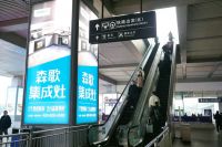 冠名高铁品牌专列，森歌跑出品牌向上“加速度”