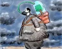 你每天需要130亿颗负氧离子，才能保证你的身体健康！