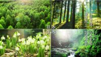 守初心践使命，凝心聚力新征程
