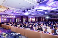 派雅全新品牌战略发布：用新定位“深舒适”引爆高端门窗市场