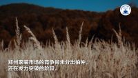 2022家装深度观察NO.20：郑州家装市场竞争格局