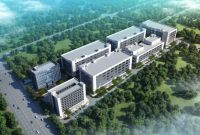 派雅门窗李钧洪：用“深舒适”开启质变元年