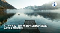 2022家装深度观察NO.24：郑州家装市场竞争格局