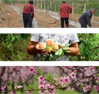 如鱼得水创新首推抗菌窗帘 用健康杠杆 撬动万亿家装市场
