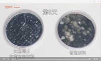 优质新品抗菌窗帘拉开健康新生活！如鱼得水窗帘3月福利大放送