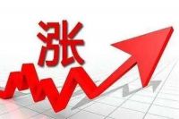 聚焦 |逆境中的坚守