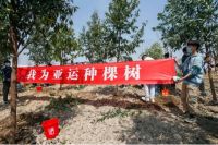 久盛地板助力低碳亚运，根植绿色希望