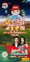 绿色薄贴，大美中国|公益，西卡德高在行动