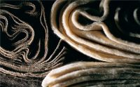 海丝腾崇尚自然理念，谱写绿色生活底色