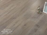 红利居之星系列|玩转时尚质感，打造不一样的纯粹慢生活！