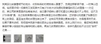 永裕SPC地板以品质为消费者代言！