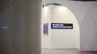 跨界艺术丝巾作品展 | 设计师李志俊灵魂的自由之色