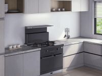 大国品牌帅丰集成灶五一焕新周钜惠来袭，最强产品攻略看这里！