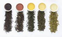 茶文化专栏 | 雨后茶逾鲜，邀您优选品鉴春茶