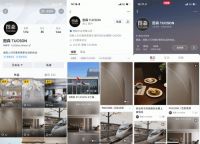 终端旗舰店账号覆盖率98%，图森率先迈入短视频营销时代
