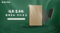 福庆家具板 | 卓越品质，缔造健康家居生活