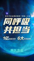 五一大放价 林氏木业打造家居促销 “样板工程”