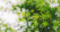 家装必备！第五季无管道新风，分分钟净化你的家！