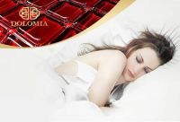 无视奢侈税 100万元以下超能深睡枕大作DOLOMIA品鉴