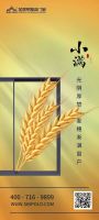 盈而未满｜小满时节品质门窗官宣海报大赏