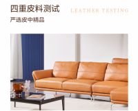 V6家居以潮流俘获年轻群体，与王子文一起传递家居潮流主张