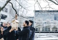 贯行绿色思考 行动胜于雄辩 | schüller德国旭勒橱柜