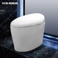 2022年智能马桶十大品牌排行榜