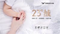 粤强宜昌财富峰会暨23°绒新品鉴赏区域交流会圆满落幕！