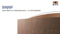 从门开始的一体化发展，看霍尔茨如何打开霍然新境