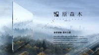 专访奥华品牌总监王海波：品牌升级 用数字化营销助力“简装变豪装”