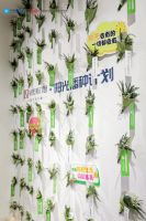 探寻中国建博会（广州）轩尼斯门窗展馆：艺术为骨，科技为翼