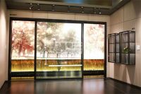 新标黄东江：深化新国标产品布局，将高标准延伸至全品类