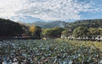 2022年最新普陀山最强攻略：一起和家人来普陀山过清爽一夏~