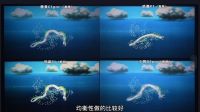 2000元内投影仪推荐！4款高性价比投影仪选购攻略