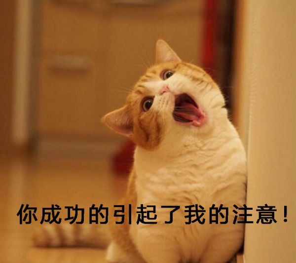我在朋友家见到了博沃纳B500加湿器，感觉与传说的不同