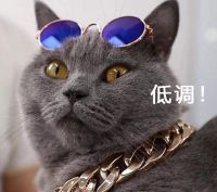 我在朋友家见到了博沃纳B500加湿器，感觉与传说的不同