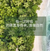 在家享受到森林级空气不再是虚谈
