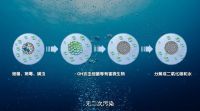 厚积薄发！小天鹅以44年科技之力缔造本色系列洗烘套装
