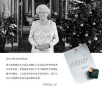 重磅！金钢铂林荣获意大利Berti全球首个国家级独家代理授权