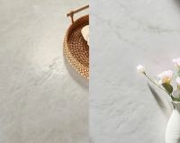 实力超凡 蜡质微模面砖请认准顺辉瓷砖·岩板出品