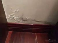 别墅永久防潮不是梦，一次性解决潮湿问题