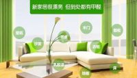 别傻了！除甲醛无捷径！科学除醛才省心！