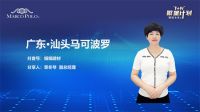 马可波罗瓷砖“1+N繁星计划” 【数·见未来Ⅱ】第二届数字化营销会议隆重召开